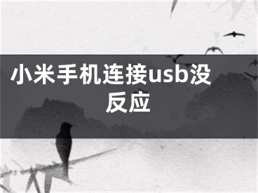 小米手機(jī)連接usb沒反應(yīng)