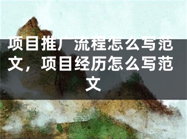 項目推廣流程怎么寫范文，項目經(jīng)歷怎么寫范文