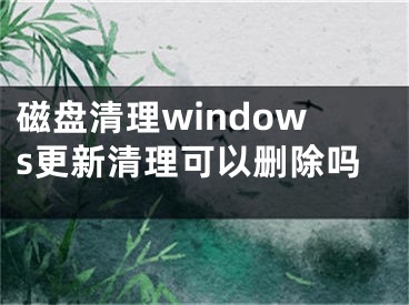 磁盤清理windows更新清理可以刪除嗎