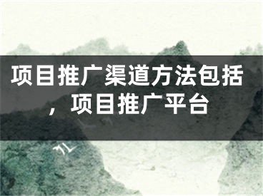 項目推廣渠道方法包括，項目推廣平臺