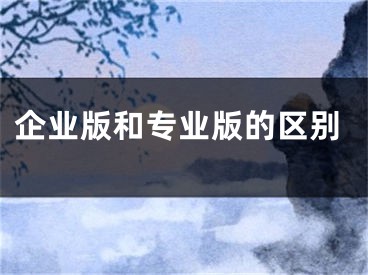 企業(yè)版和專(zhuān)業(yè)版的區(qū)別