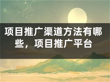 項目推廣渠道方法有哪些，項目推廣平臺