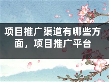 項目推廣渠道有哪些方面，項目推廣平臺