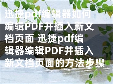 迅捷pdf編輯器如何編輯PDF并插入新文檔頁面 迅捷pdf編輯器編輯PDF并插入新文檔頁面的方法步驟