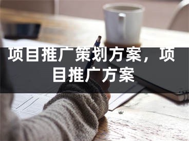 項目推廣策劃方案，項目推廣方案