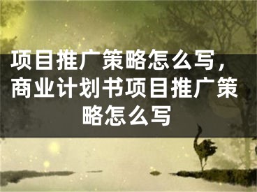 項(xiàng)目推廣策略怎么寫，商業(yè)計(jì)劃書項(xiàng)目推廣策略怎么寫