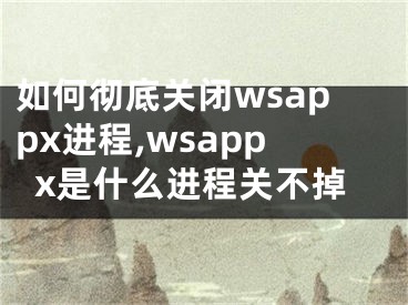 如何徹底關(guān)閉wsappx進程,wsappx是什么進程關(guān)不掉