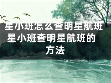 星小班怎么查明星航班 星小班查明星航班的方法