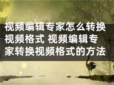 視頻編輯專家怎么轉(zhuǎn)換視頻格式 視頻編輯專家轉(zhuǎn)換視頻格式的方法