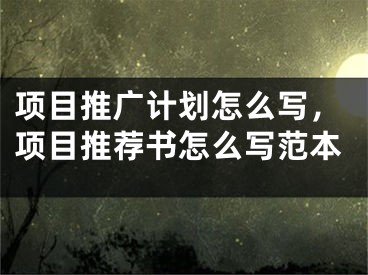 項目推廣計劃怎么寫，項目推薦書怎么寫范本