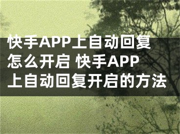 快手APP上自動回復怎么開啟 快手APP上自動回復開啟的方法