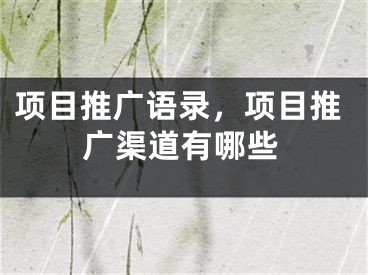 項目推廣語錄，項目推廣渠道有哪些