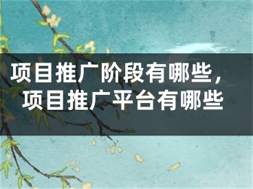 項(xiàng)目推廣階段有哪些，項(xiàng)目推廣平臺有哪些