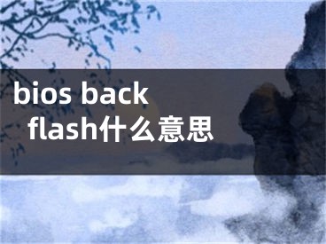 bios back flash什么意思