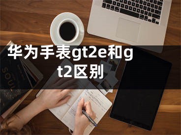 華為手表gt2e和gt2區(qū)別