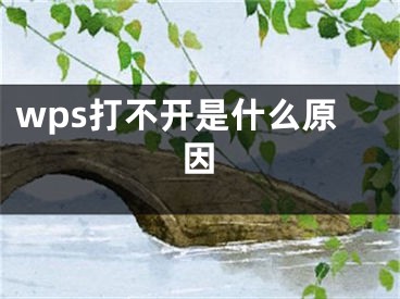 wps打不開是什么原因