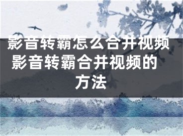 影音轉(zhuǎn)霸怎么合并視頻 影音轉(zhuǎn)霸合并視頻的方法