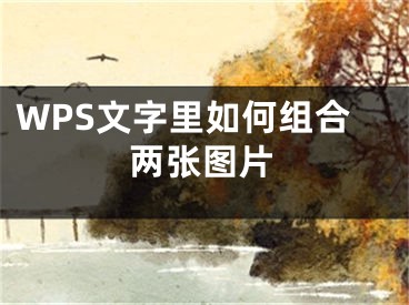 WPS文字里如何組合兩張圖片