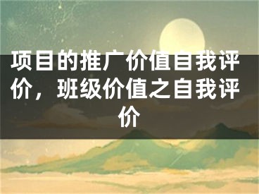 項目的推廣價值自我評價，班級價值之自我評價