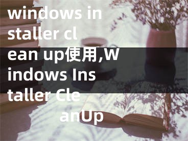 windows installer clean up使用,Windows Installer CleanUp