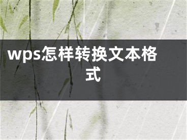 wps怎樣轉(zhuǎn)換文本格式