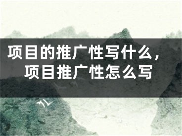 項目的推廣性寫什么，項目推廣性怎么寫