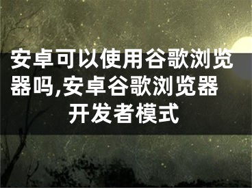 安卓可以使用谷歌瀏覽器嗎,安卓谷歌瀏覽器開發(fā)者模式