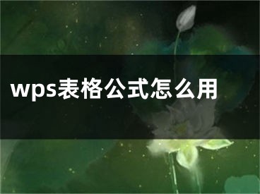 wps表格公式怎么用