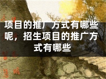 項目的推廣方式有哪些呢，招生項目的推廣方式有哪些