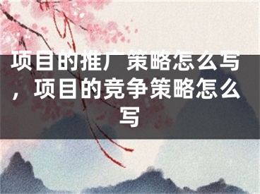 項(xiàng)目的推廣策略怎么寫，項(xiàng)目的競爭策略怎么寫