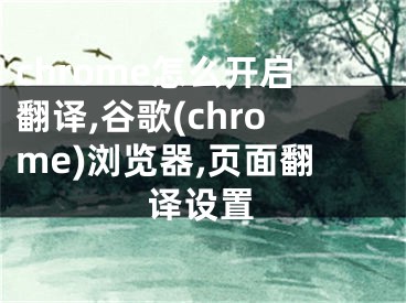 chrome怎么開啟翻譯,谷歌(chrome)瀏覽器,頁(yè)面翻譯設(shè)置