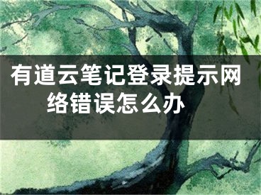 有道云筆記登錄提示網(wǎng)絡(luò)錯誤怎么辦 