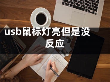 usb鼠標(biāo)燈亮但是沒反應(yīng)