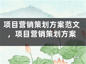 項目營銷策劃方案范文，項目營銷策劃方案