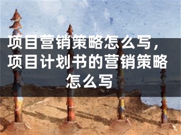 項(xiàng)目營銷策略怎么寫，項(xiàng)目計(jì)劃書的營銷策略怎么寫