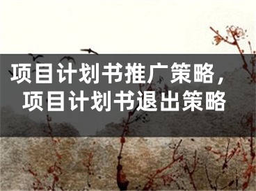 項(xiàng)目計(jì)劃書推廣策略，項(xiàng)目計(jì)劃書退出策略