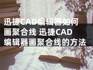 迅捷CAD編輯器如何畫聚合線 迅捷CAD編輯器畫聚合線的方法