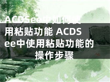 ACDSee中如何使用粘貼功能 ACDSee中使用粘貼功能的操作步驟