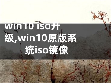 win10 iso升級,win10原版系統(tǒng)iso鏡像