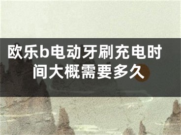 歐樂b電動牙刷充電時間大概需要多久