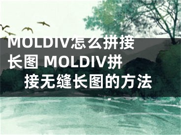 MOLDIV怎么拼接長圖 MOLDIV拼接無縫長圖的方法