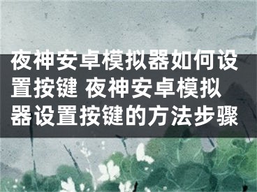 夜神安卓模擬器如何設(shè)置按鍵 夜神安卓模擬器設(shè)置按鍵的方法步驟