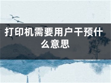 打印機需要用戶干預(yù)什么意思