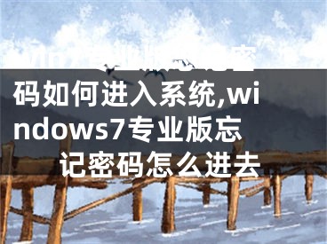 win7專業(yè)版忘記密碼如何進(jìn)入系統(tǒng),windows7專業(yè)版忘記密碼怎么進(jìn)去