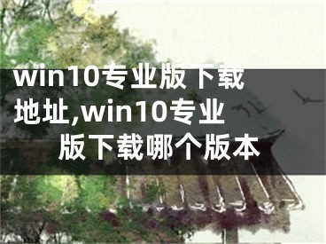 win10專業(yè)版下載地址,win10專業(yè)版下載哪個(gè)版本