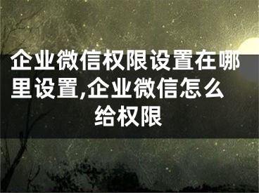 企業(yè)微信權(quán)限設(shè)置在哪里設(shè)置,企業(yè)微信怎么給權(quán)限