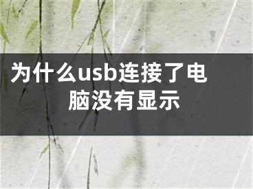 為什么usb連接了電腦沒(méi)有顯示