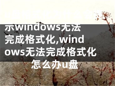 u盤格式化為什么會提示windows無法完成格式化,windows無法完成格式化怎么辦u盤