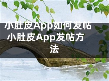 小肚皮App如何發(fā)帖 小肚皮App發(fā)帖方法