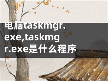 電腦taskmgr.exe,taskmgr.exe是什么程序